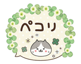 240302702