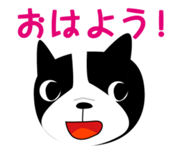 2403056