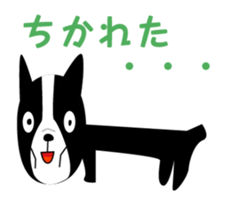 2403068