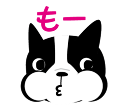 2403069