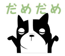 2403074