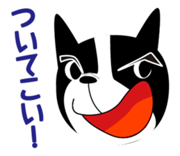 2403075