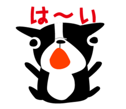 2403079