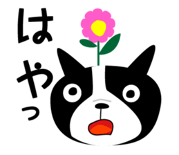 2403083