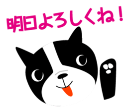 2403084