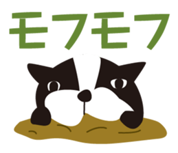 2403093