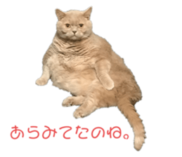 240360354