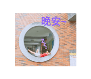 240365892