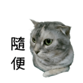 240389728
