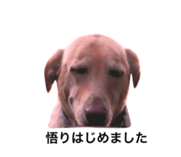 24040670