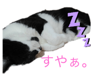 240413345