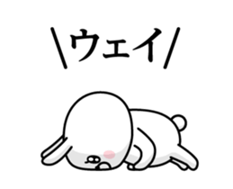 240423243