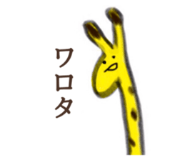 240457789