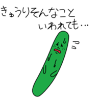 240466024