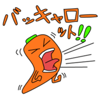 240466036