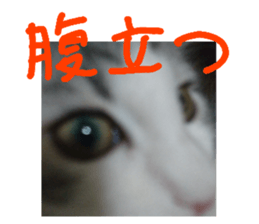 240482939