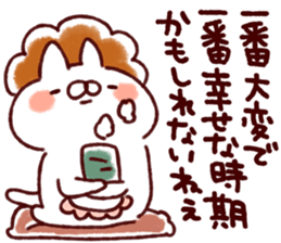 240502306
