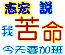 240508541