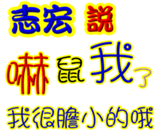 240508561