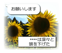 240548722