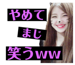 240550161