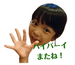 240550529