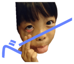 240550531