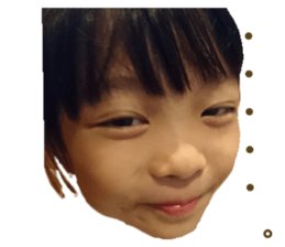 240550532