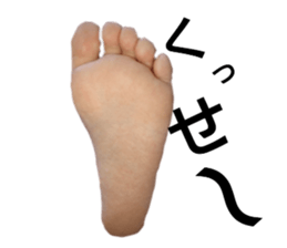 240550537
