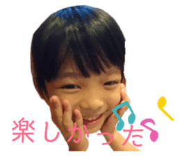 240550538