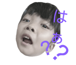 240550539