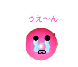 240558224