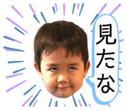 240560772