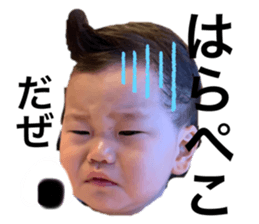 240561004