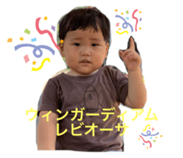 240561011