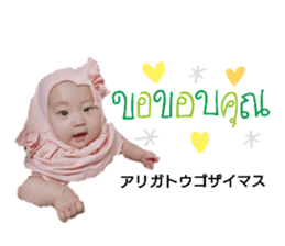 240580098