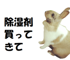 24060191