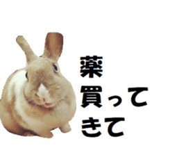 24060195