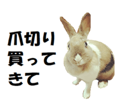 24060198