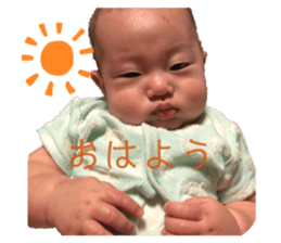 240602423
