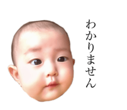 240602442