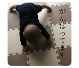 240602443