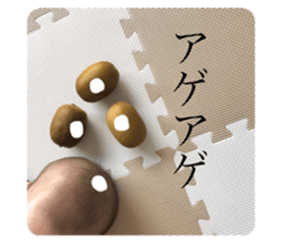 240602444