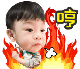 24061459