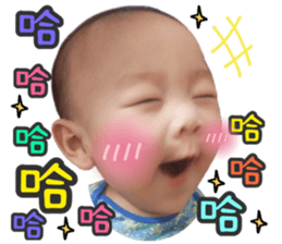 24061460