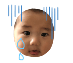 240629709