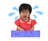 240632959
