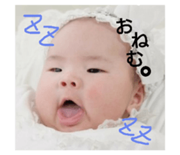 24064470