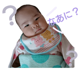 24064483