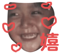 240669816